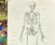 Teens: Drawing Human Anatomy + Figure Sketching